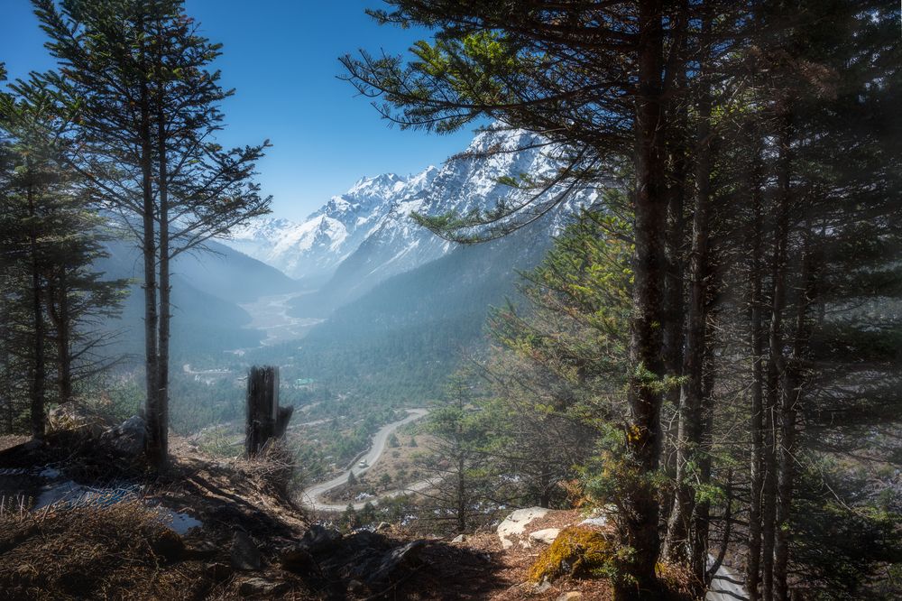 Photograph by Sk Shahrukh Sohel