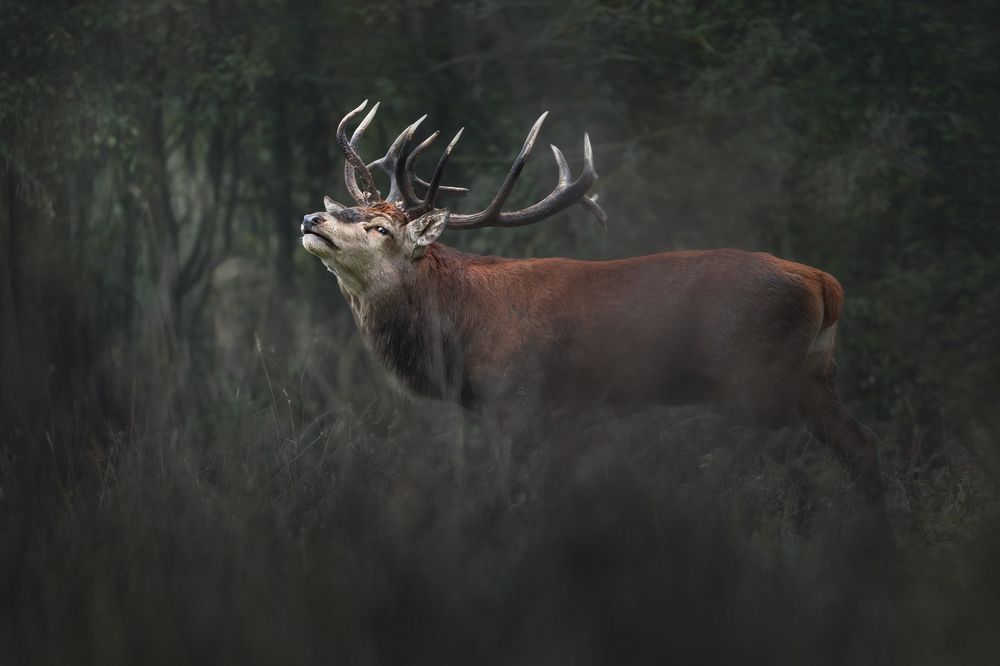 Фотография автора Рудченко Ольга