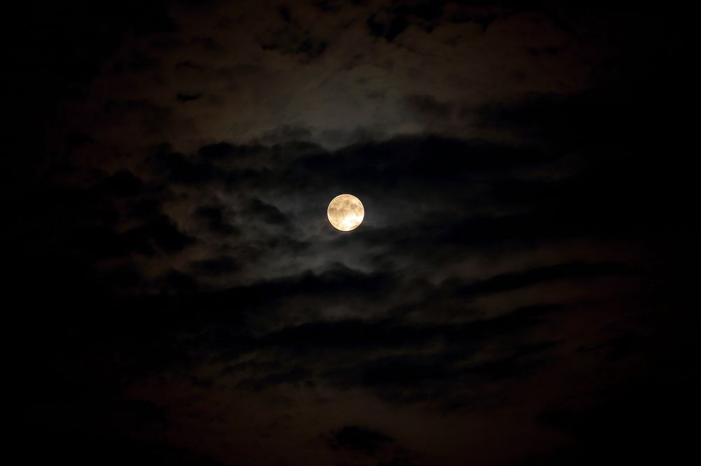Photograph by Сергей Михайловский