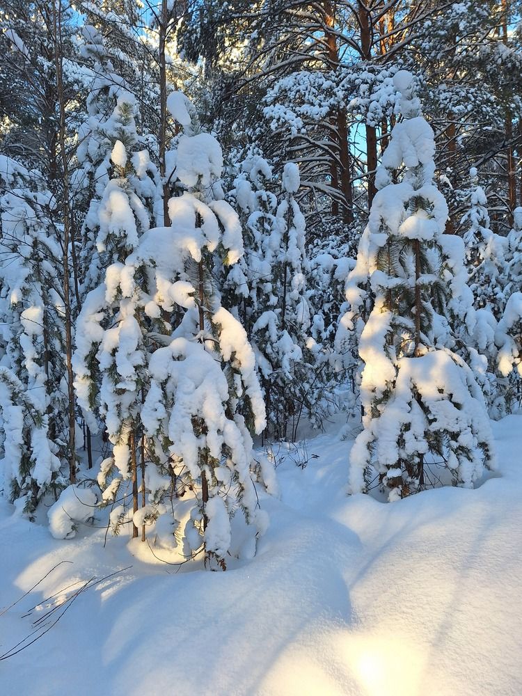 Photograph by Анна