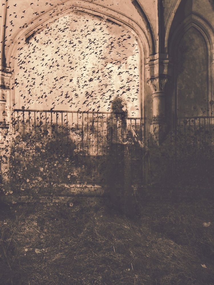 Photograph by Lucia K