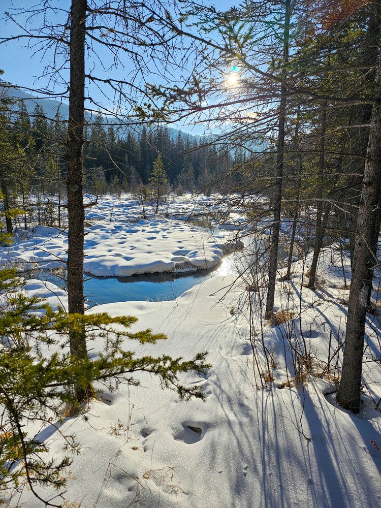 Photograph by Никита Караваев