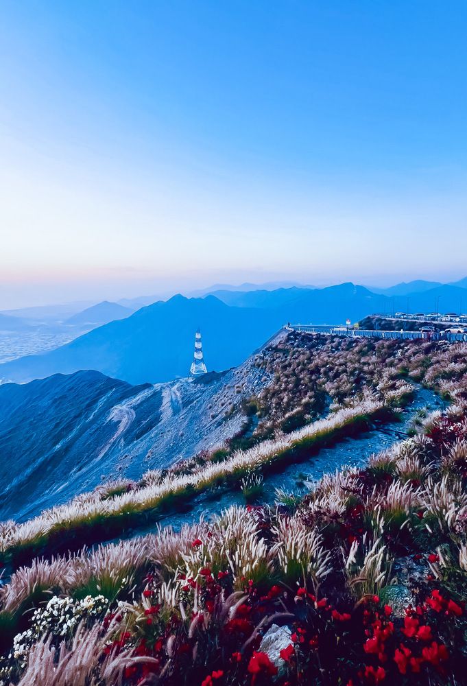 Фотография автора Sarrah Yehia