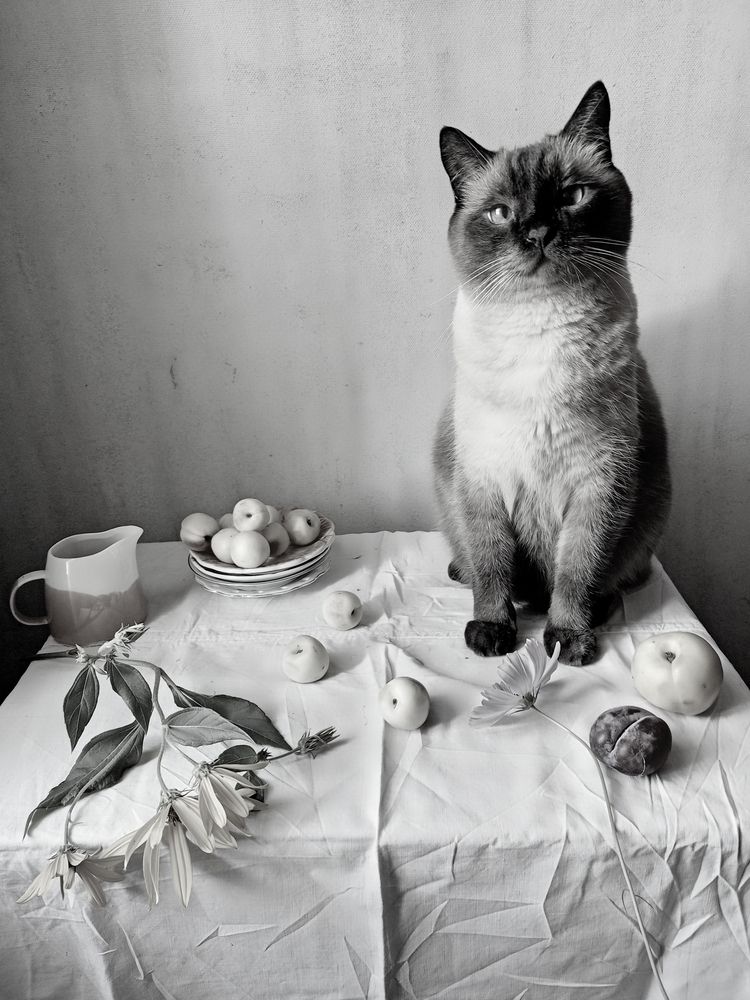 Photograph by Курочкина Диана