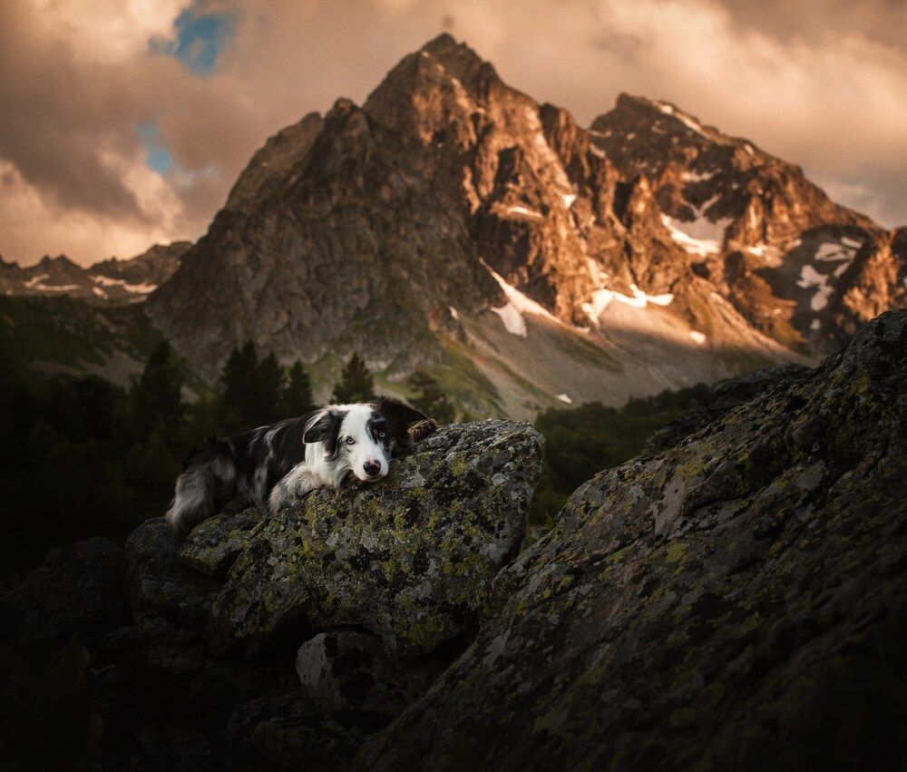 Фотография автора Sophie Kozlova