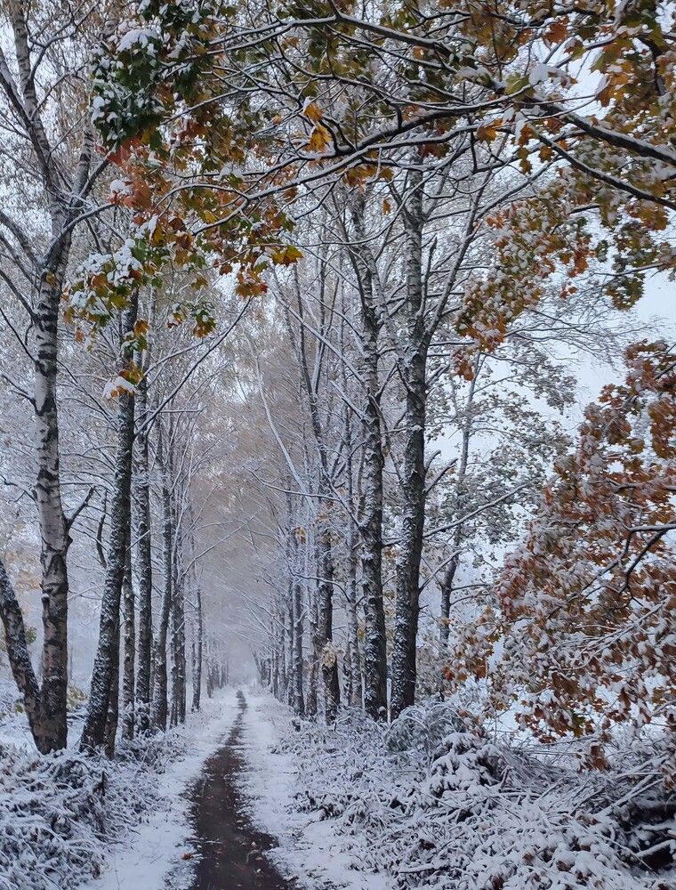 Фотография автора Александр Довганюк