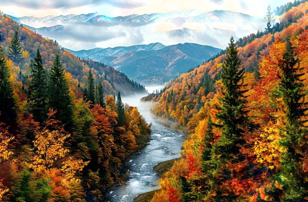 Фотография автора Екатерина Карасева