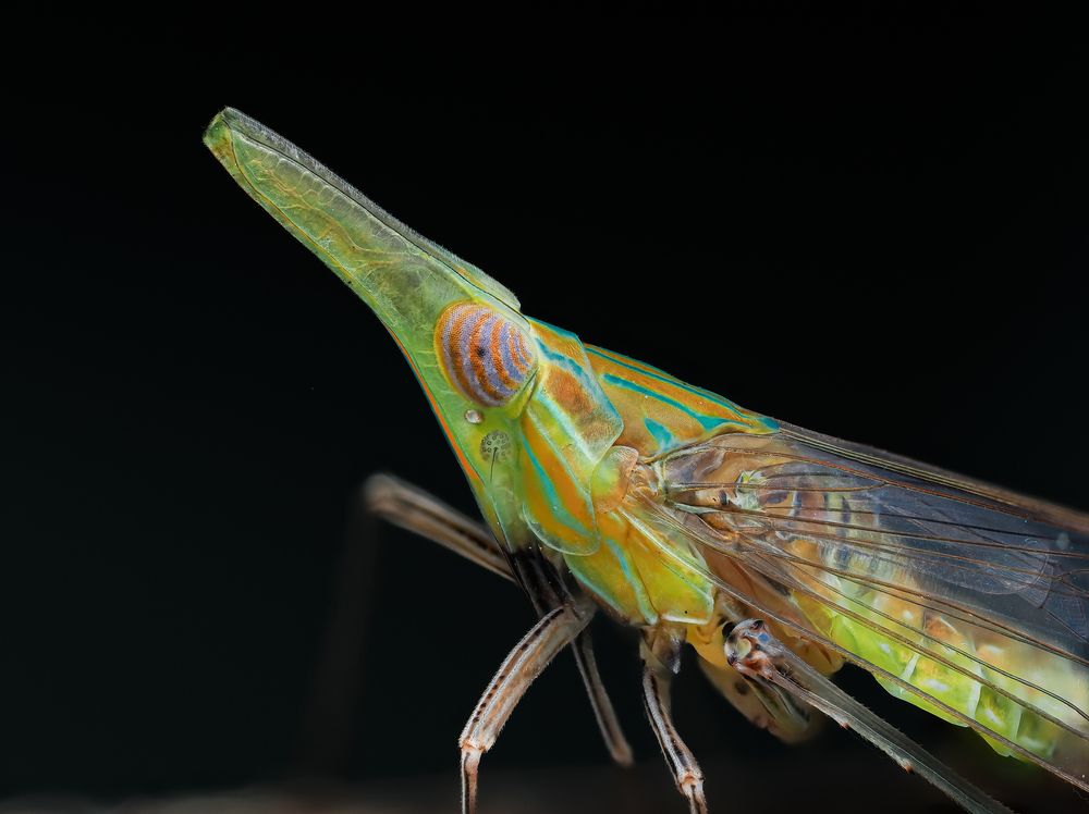 Photograph by Phuong Nguyen