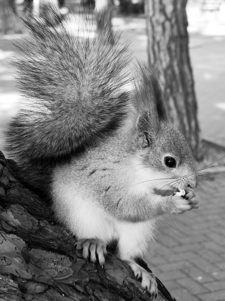 Photograph by Дмитрий Ромашов