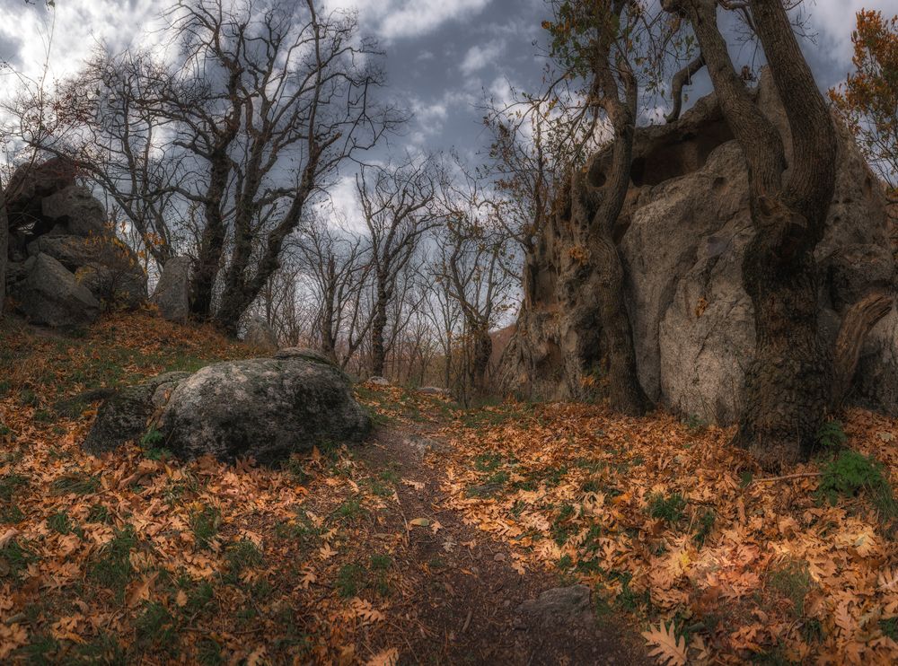 Photograph by Дмитрий Шавловский