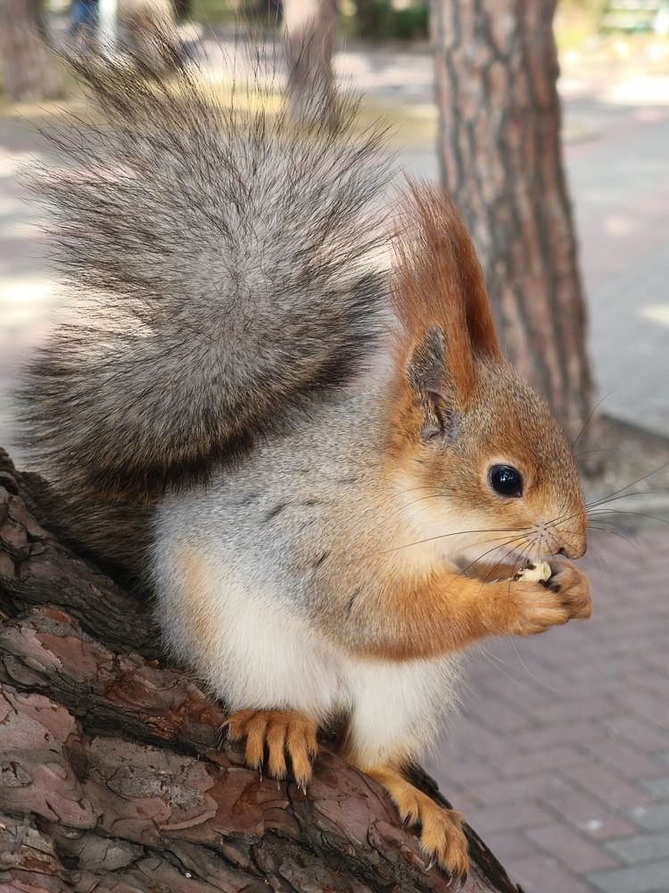 Photograph by Дмитрий Ромашов