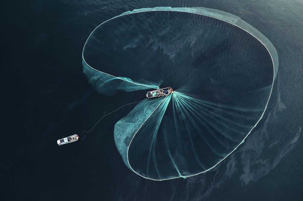 Photograph by Tuấn Nguyễn Tấn