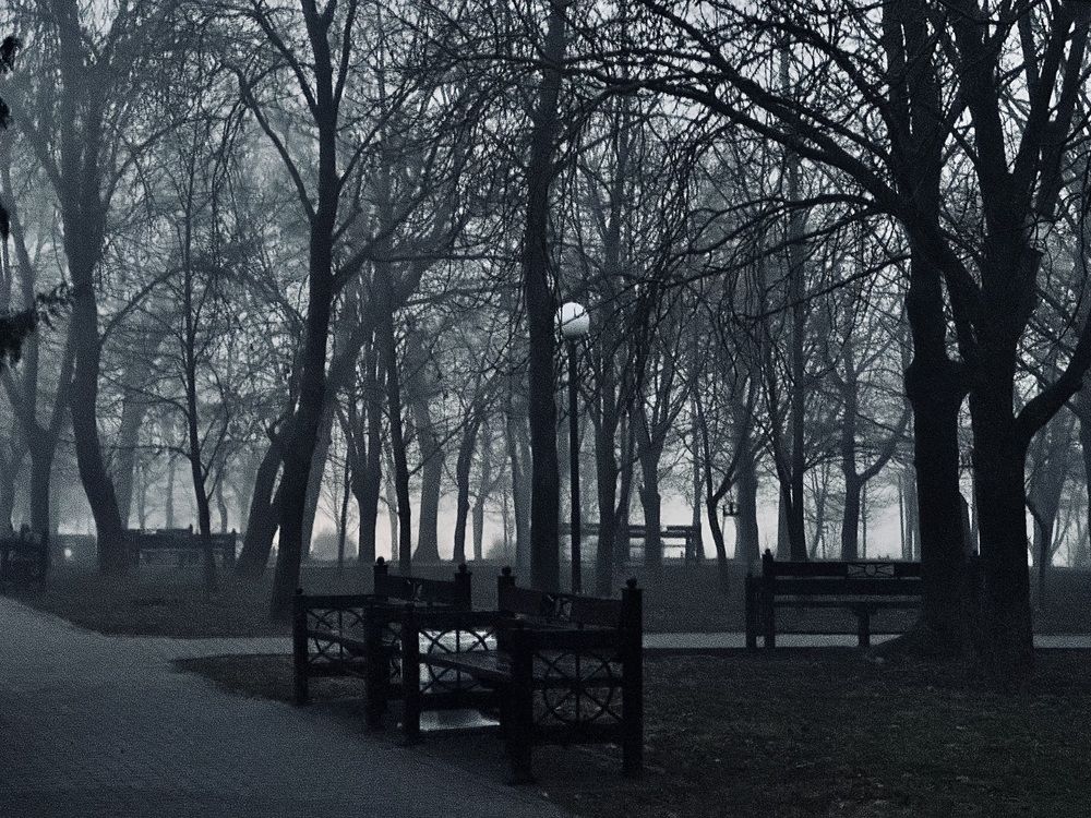 Photograph by Вадим Еременко