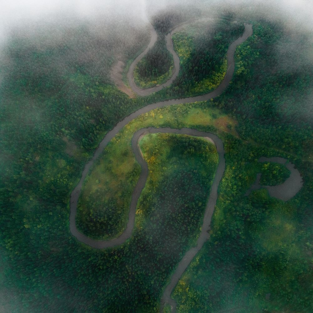 Photograph by Дмитрий Шавловский