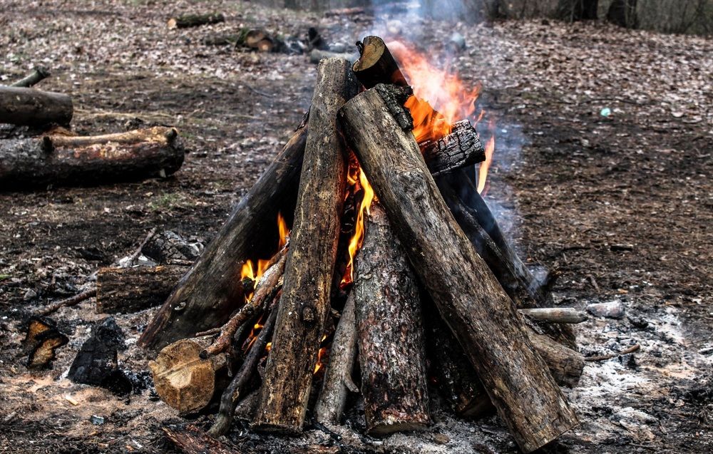 Photograph by Александр Воронов