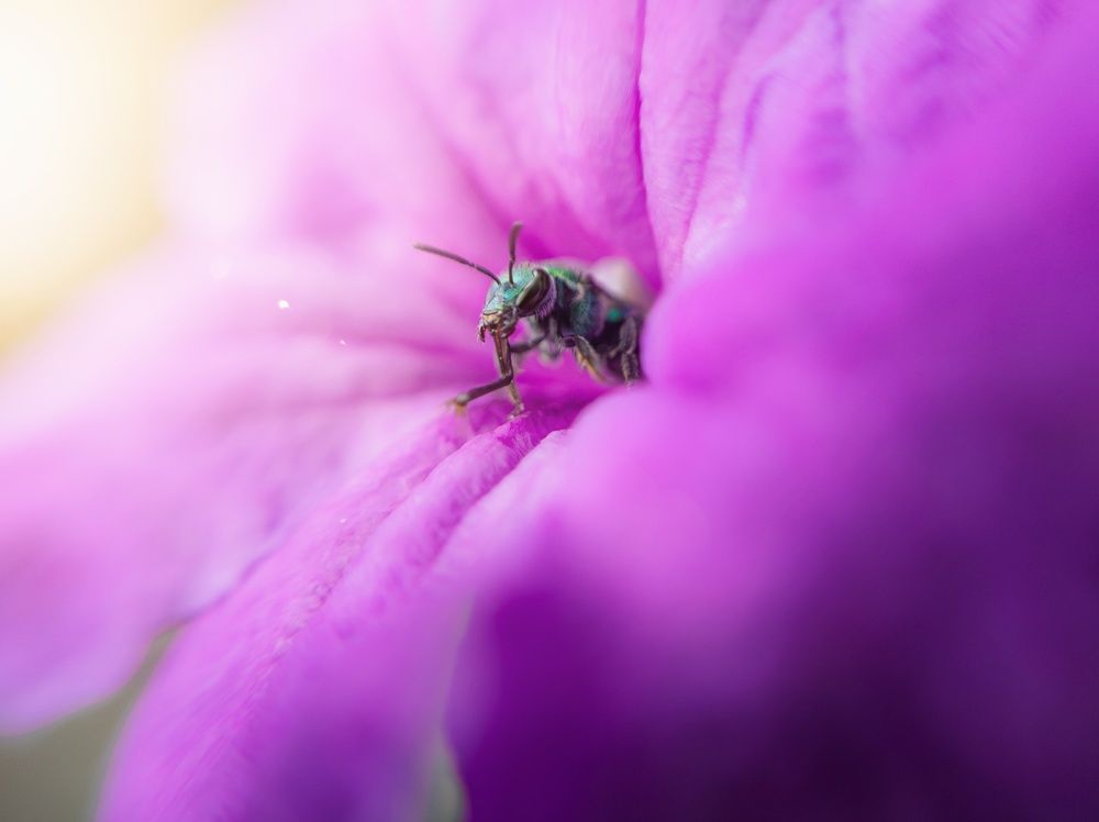 Photograph by Allan Carvalho