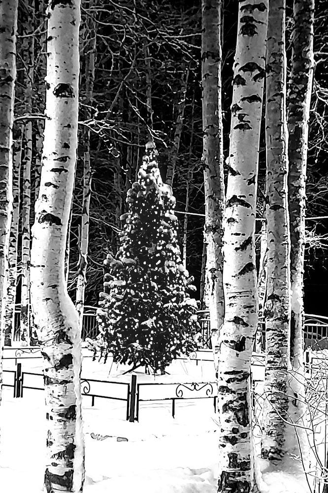 Photograph by Соколова Елена