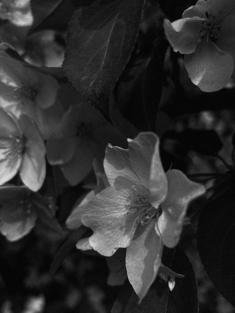 Photograph by Olivka Ulyanova