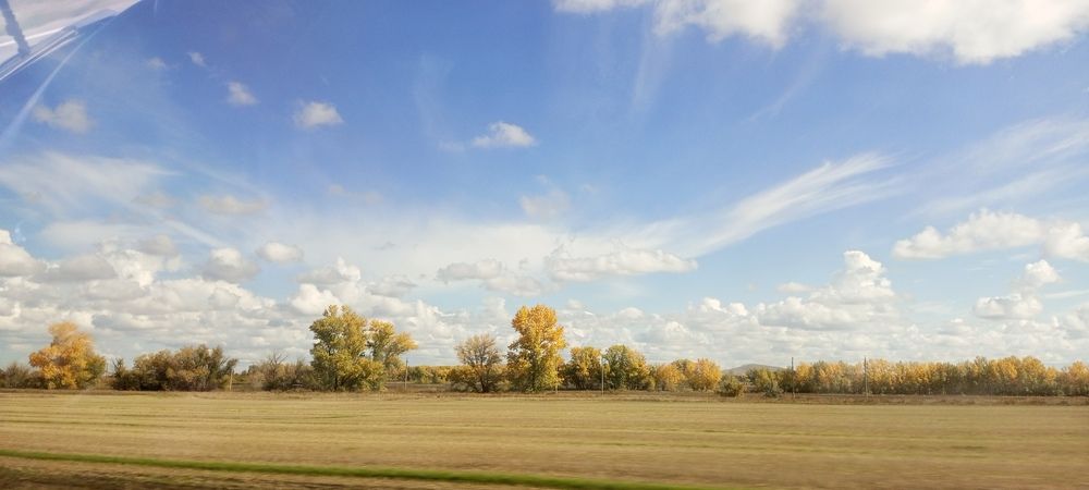 Photo #11918177
