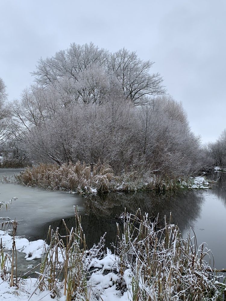 Фотография автора Ирина Шпаковская