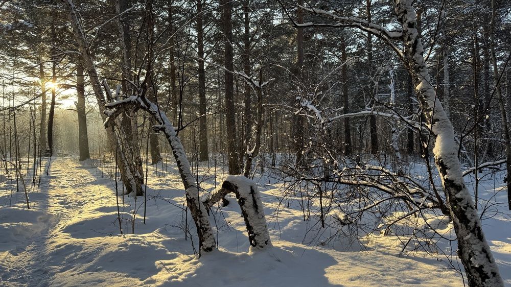 Photograph by Марина Мишутина