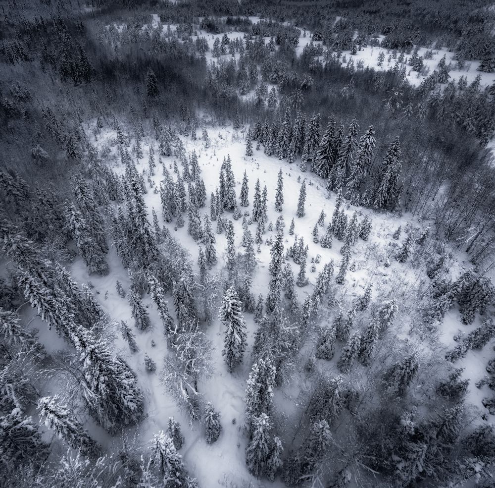 Photograph by Дмитрий Шавловский