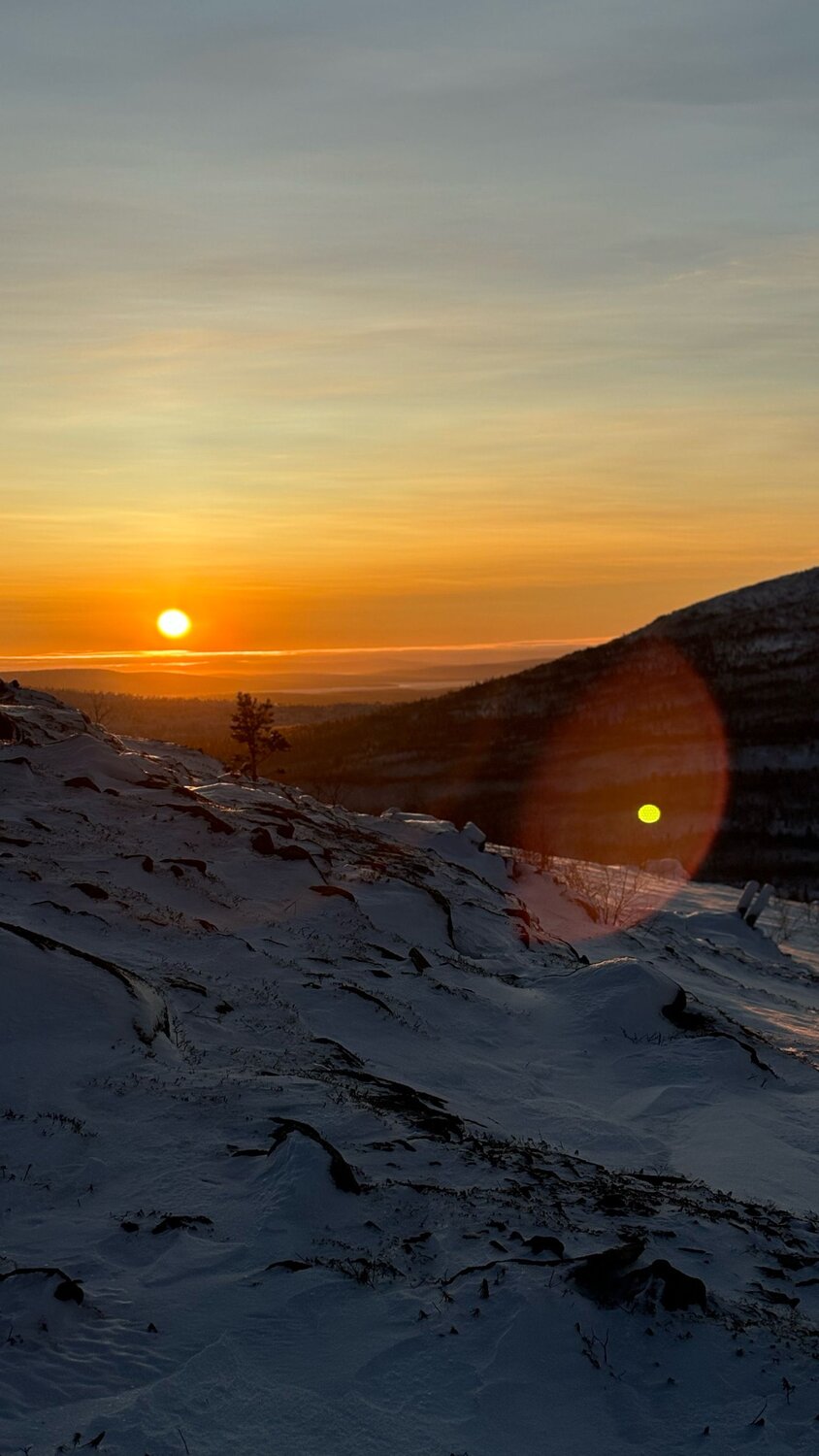 Photo #11918274