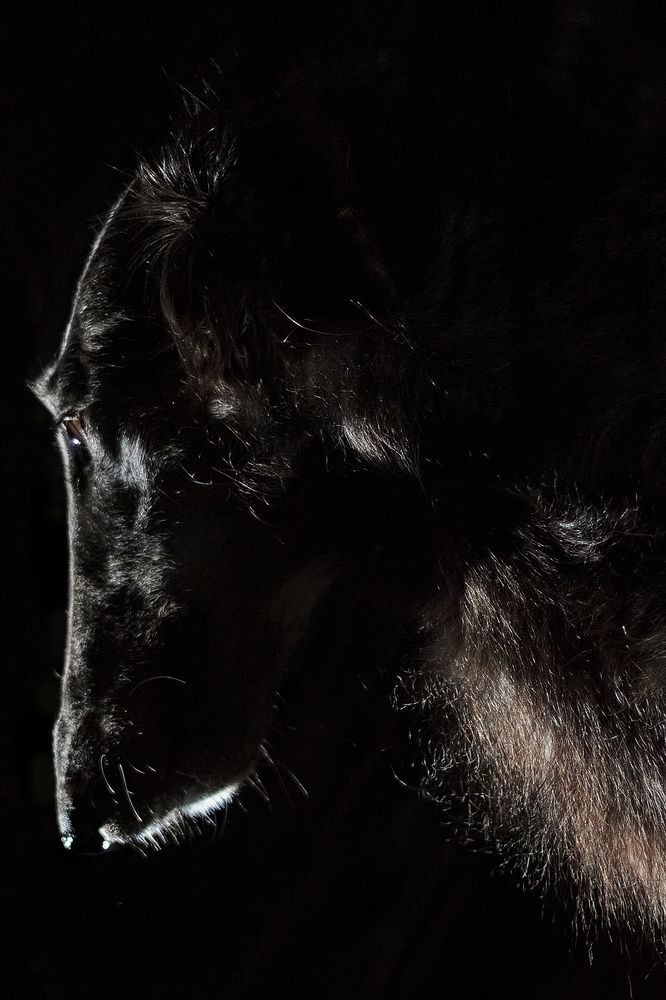 Photograph by Natalya Gracheva