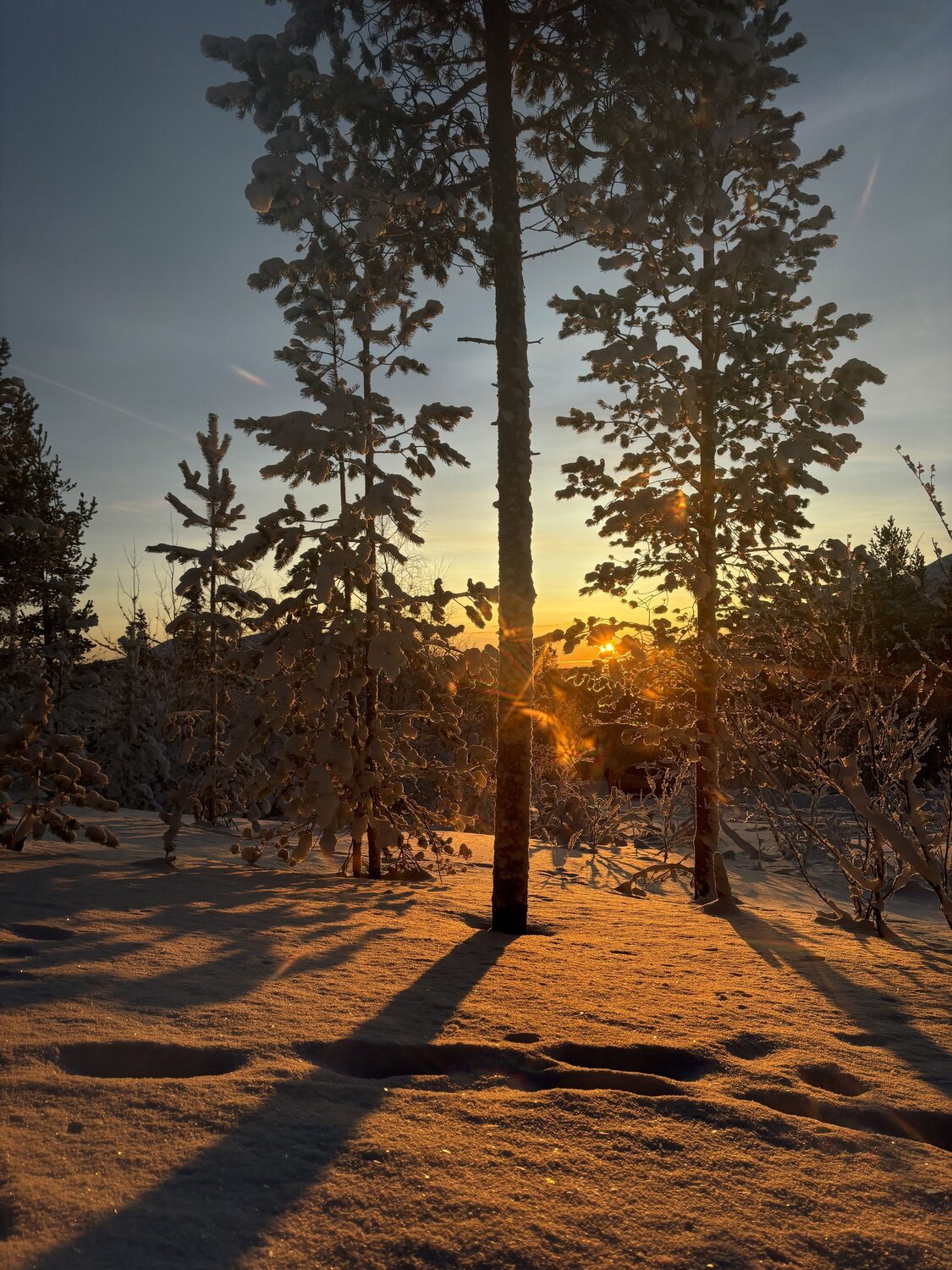 Photo #11918278