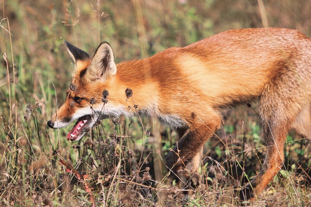 Photograph by Александр Лемешков