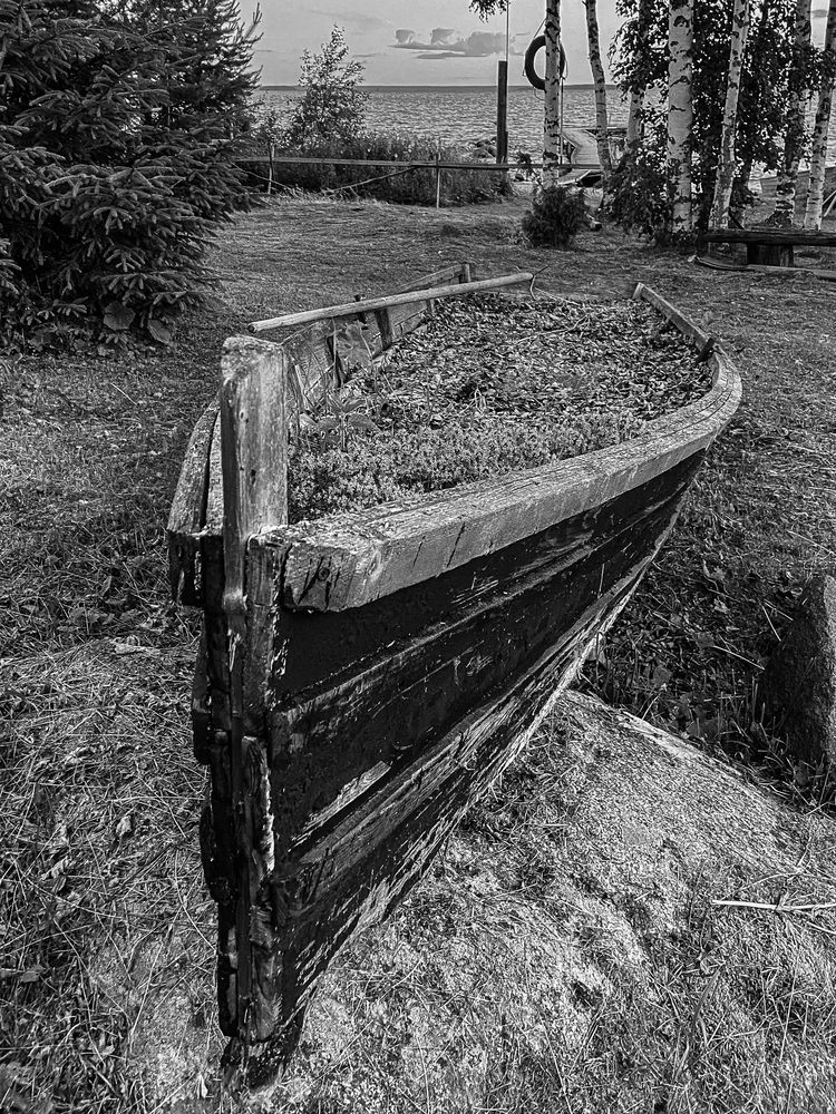 Photograph by Юлия Балашова