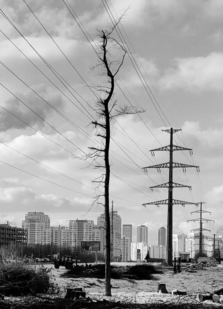 Photograph by Михаил Янкин