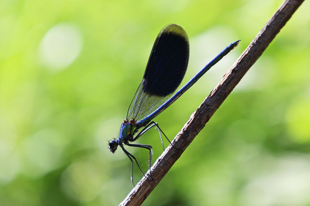 Photograph by Дина