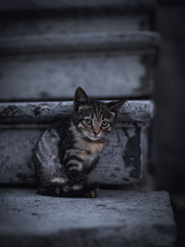 Photograph by Игорь Толкачев