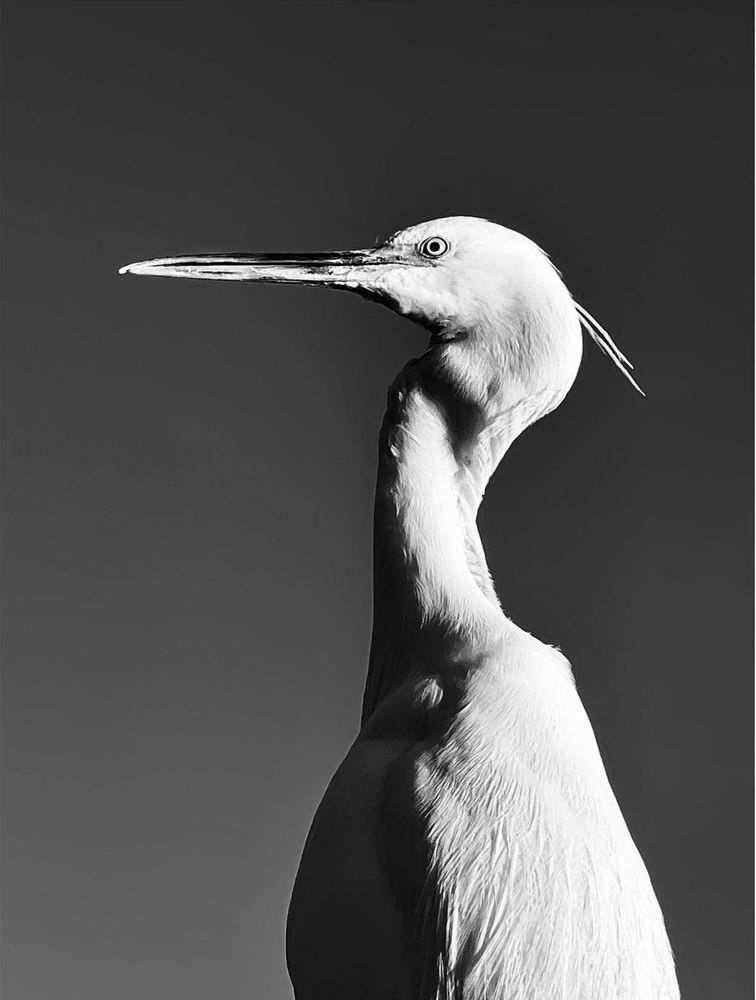 Photograph by Анастасия Оранжевая