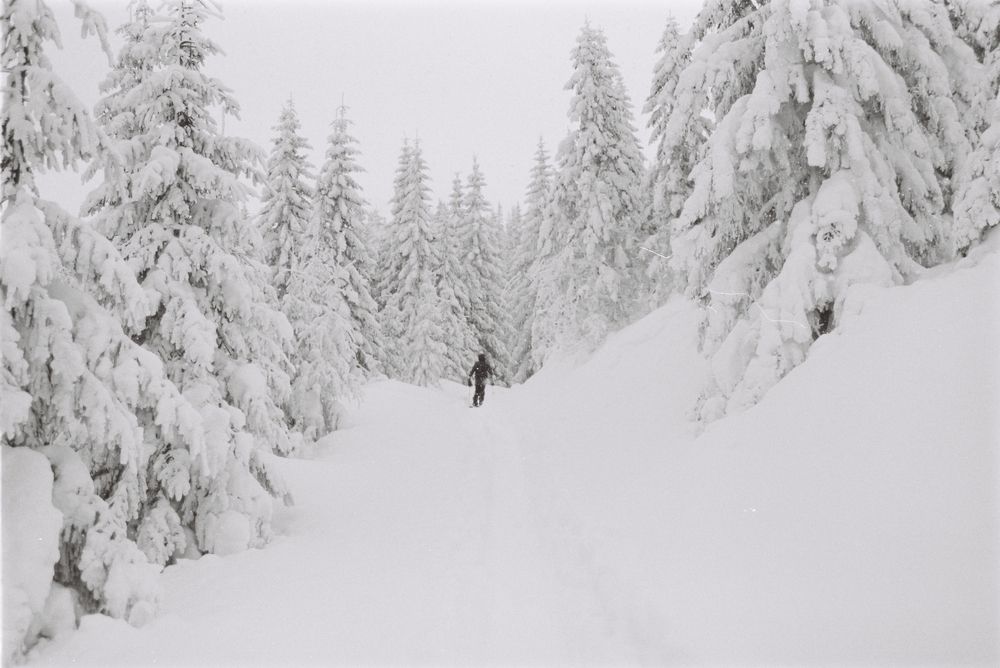 Photograph by Pablo Furso