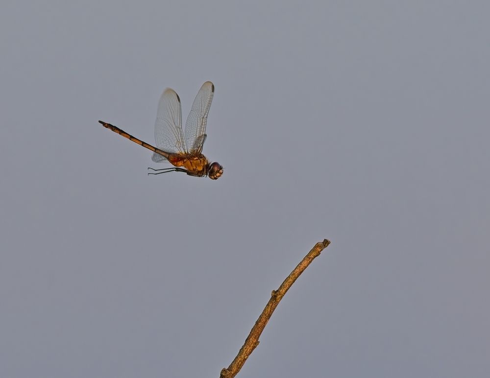 Photograph by Jerome Foster
