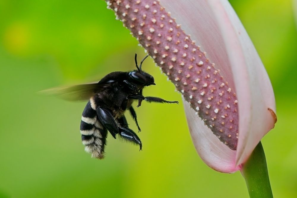 Photograph by Jerome Foster