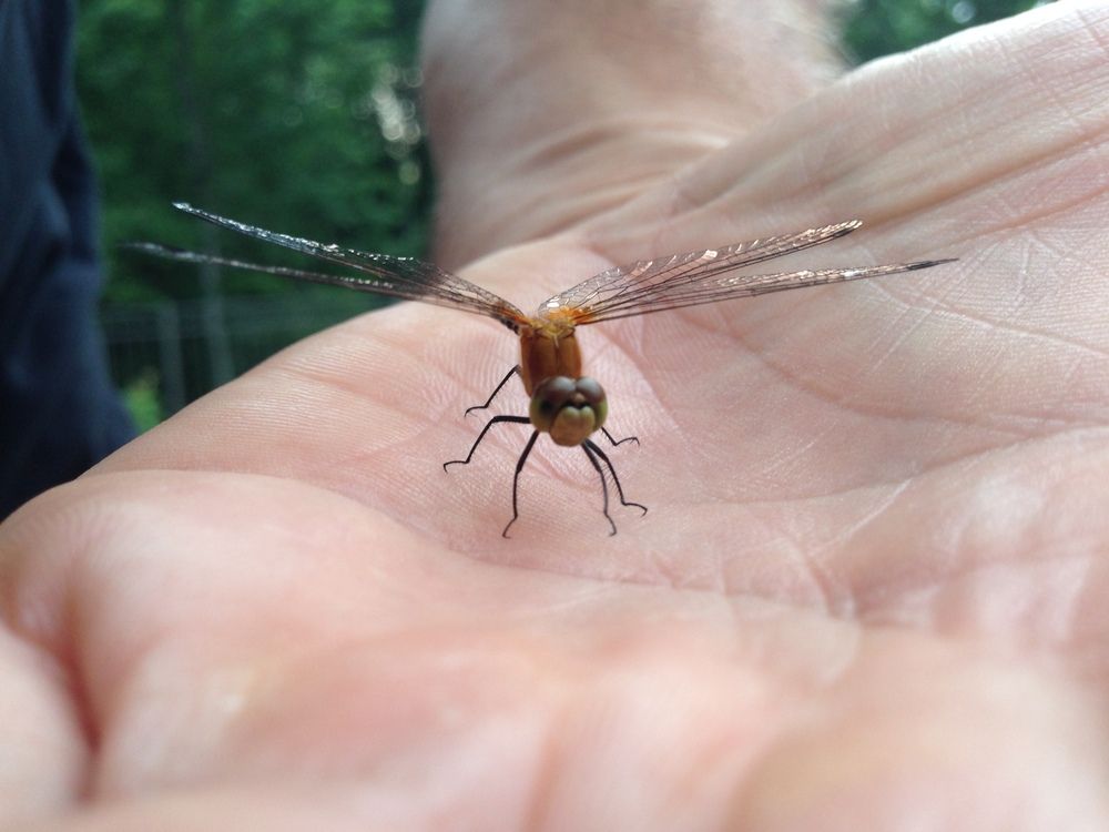 Photograph by Robert Farruggia