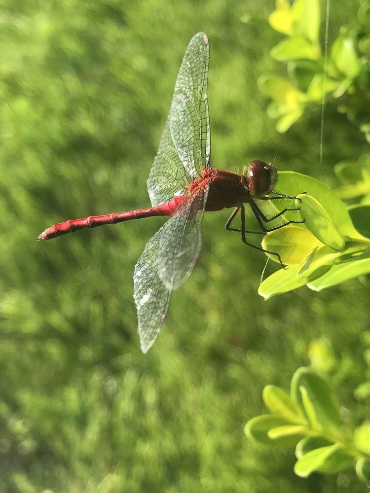 Photograph by Robert Farruggia