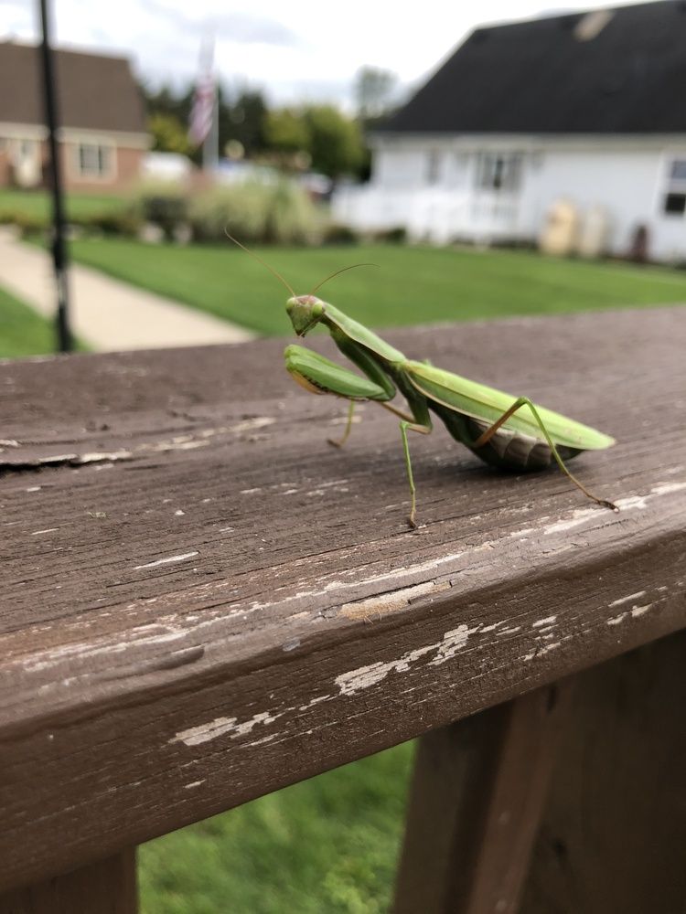 Photograph by Robert Farruggia