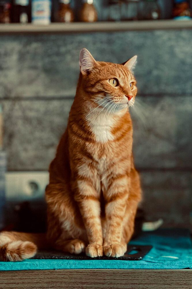 Photograph by Евгений Авдеев