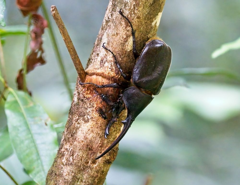 Photograph by Jerome Foster