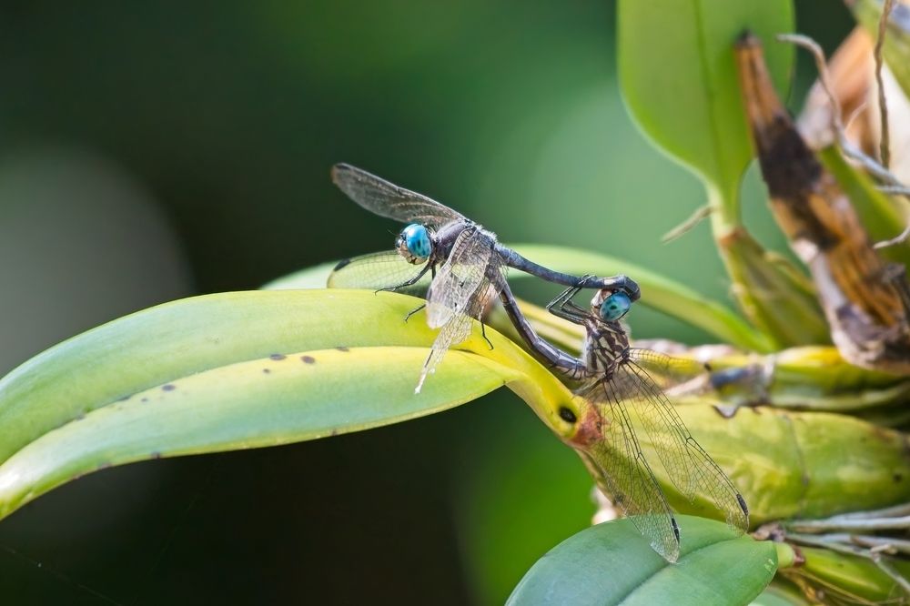Photograph by Jerome Foster