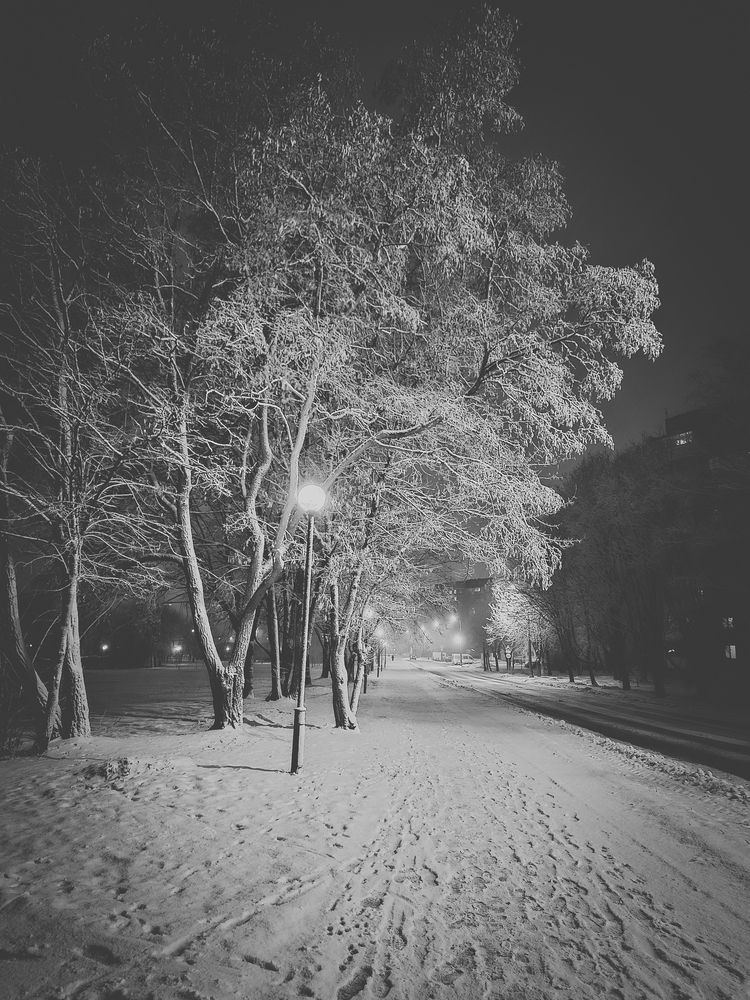 Фотография автора Анна Мисякова