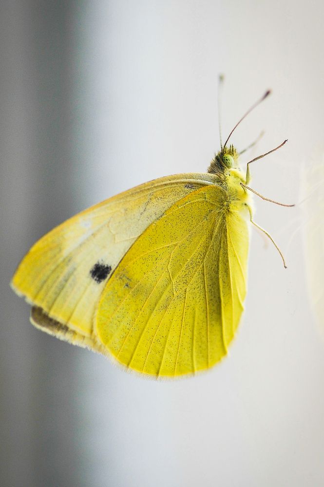 Фотография автора Альбина Хальяк