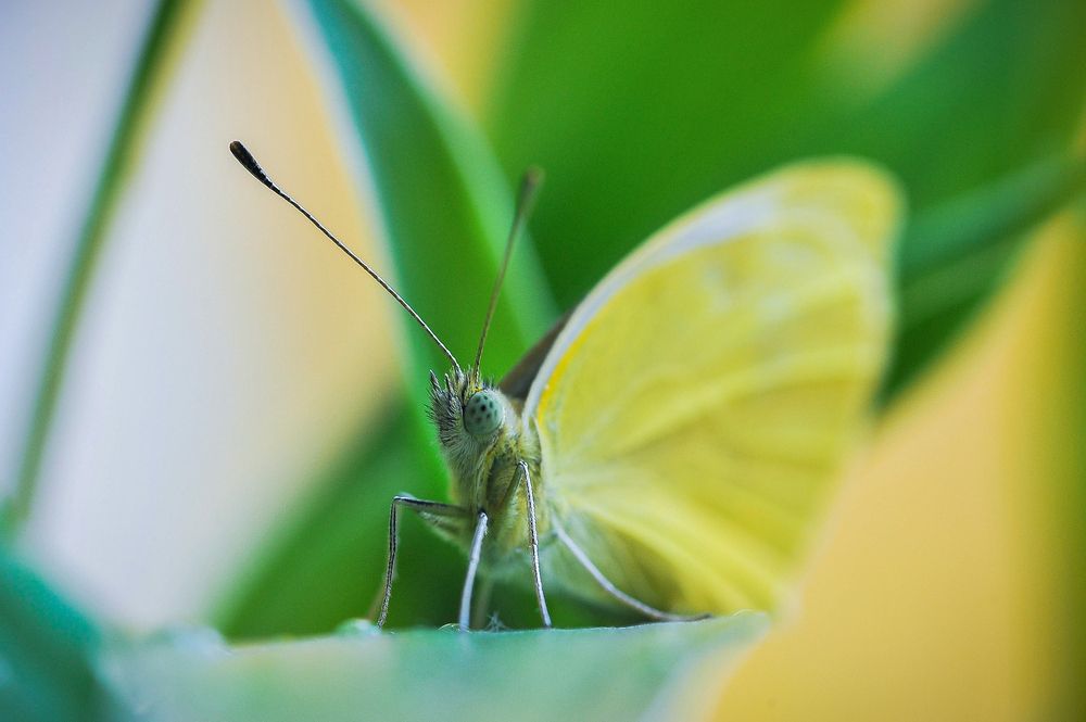 Фотография автора Альбина Хальяк