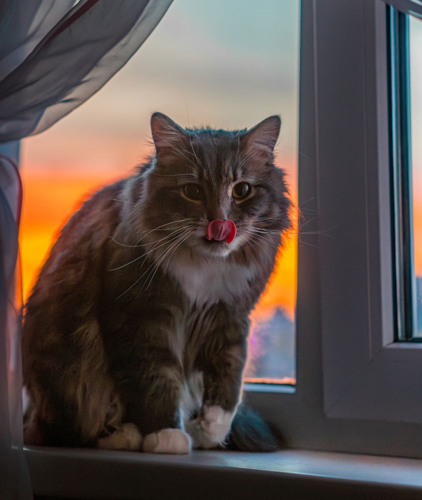 Photograph by Evgeny Ilyin