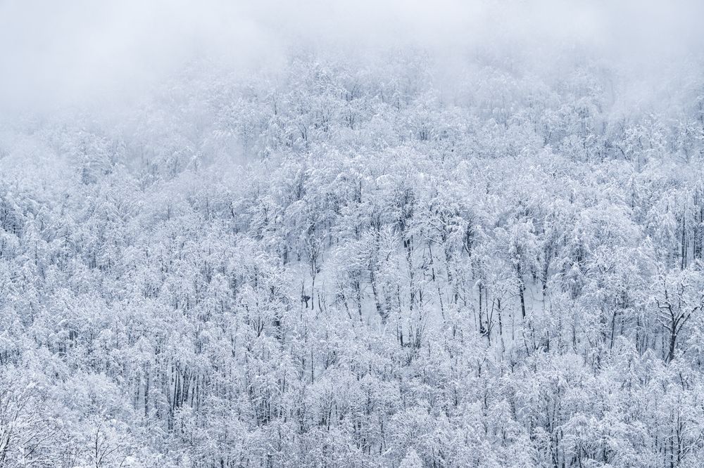 Photograph by Никита Борзов