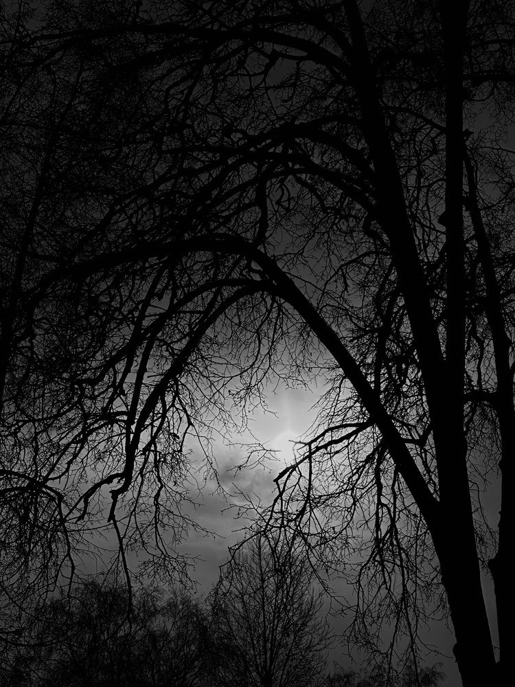 Photograph by Ксения Гулькова